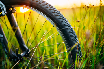 Bicycle Wheel In The Summer Green Grass Meadow Field