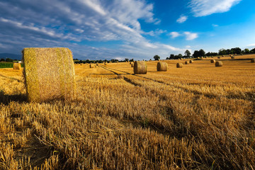 Field with bales of straw in the souther Germany after harvesting the grain in the beautiful evening sun light.