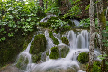 Fototapeta na wymiar Fast flowing stream of water in the forest.