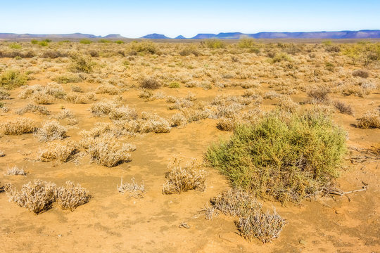 Landscape in Northern Cape, South Africa