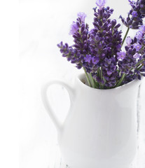 lavender flowers in the vase