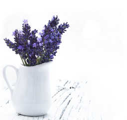 lavender flowers in the vase