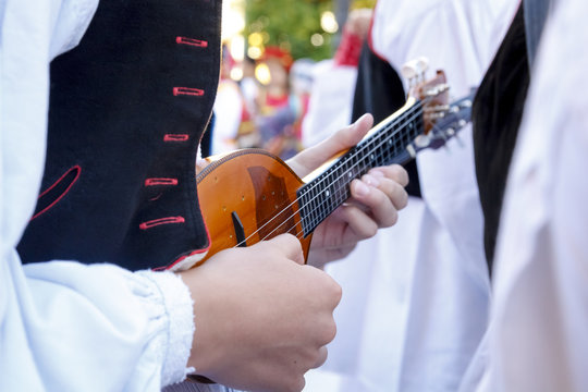 Músico tocando la mandolina en la calle. Músico dando recital en el exterior. Primeros planos de una mandolina. Mariachi amenizando evento.