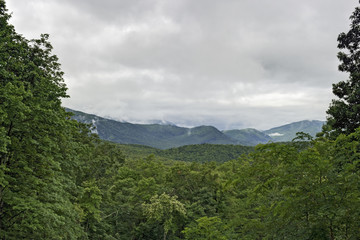 Fototapeta na wymiar Roaring Fork Area, Great Smoky Mountains National Park, TN