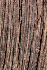 Obraz premium Old Weathered Rotten Cracked Square Timber Bollard Bituminous Surface Texture.