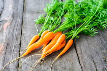 Bunch of fresh washed carrot on the old wooden background