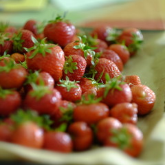 strawberries 8