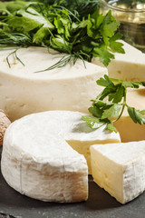 Assorted different kinds of cheese, nuts, herbs, white wine on a