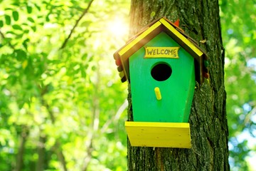 Cute little birdhouse on a tree. Home sweet home concept.