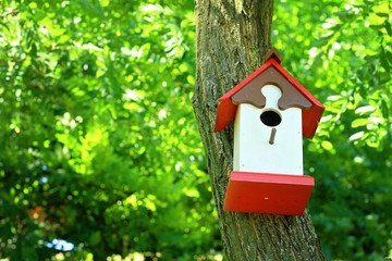 Cute little birdhouse on a tree. Home sweet home concept.