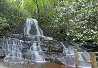 Laurel Falls, Great Smoky Mountains National Park
