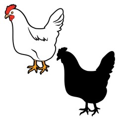 CHICKEN VECTOR ILLUSTRATION