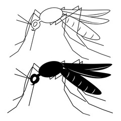 MOSQUITO OUTLINE AND SILHOUETTE VECTOR ILLUSTRATION
