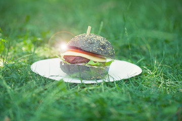 Cooking burgers at a picnic