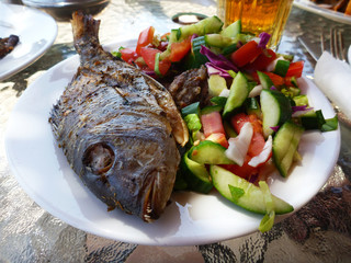 delicious fried fish on a white plate with salad of a vegetables (green cucumber, red tomato, purple cabbage) (macro)