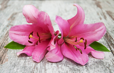 Fototapeta premium Pink lily
