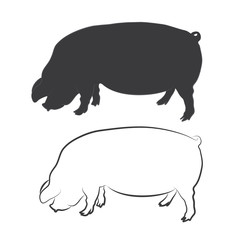 PIG, SWINE silhouette and outline vector