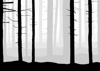 Загадочный лес