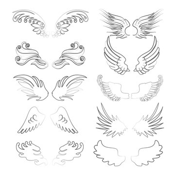 Wings outline set in vector