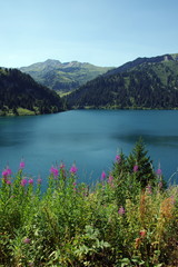 lac du barrage de st guérin-savoie