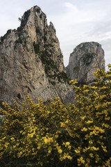 Capri faraglioni