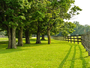 horse farm in the countryside.