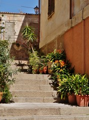 Fototapeta na wymiar Blumentöpfe entlang der Treppe 