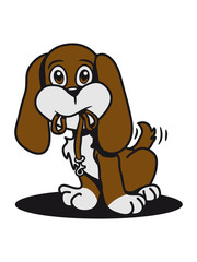 Dog young sweet dog-walking dog leash