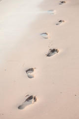 Fototapeta na wymiar Footprints on the beach