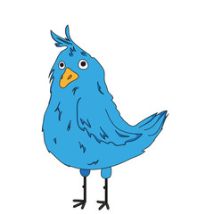 Blue bird