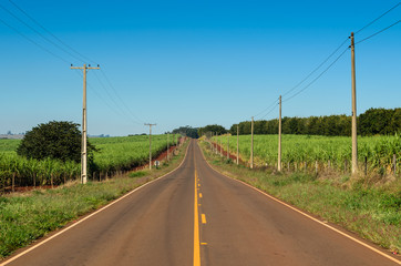 estrada vicinal no interior de São Paulo
