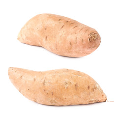 Sweet potato plant isolated