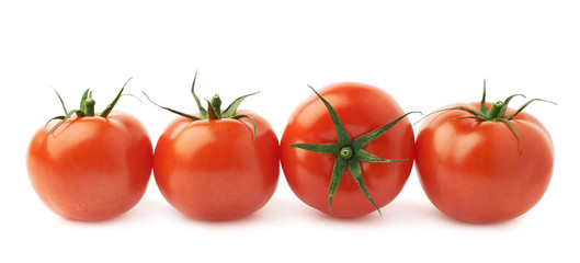 Four tomatoes in a line isolated