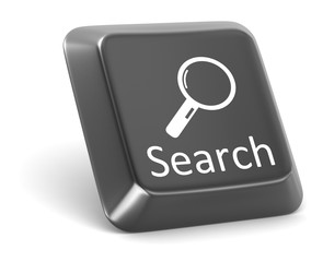 Search button