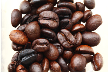 coffee beans
