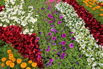 Ландшафтный дизайн