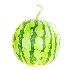 One whole watermelon with a tail