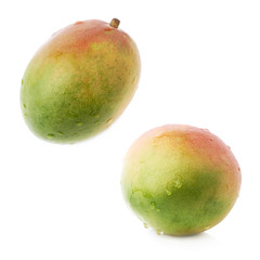 Single mango fruit isolated