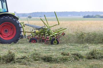 Fototapeta premium Tedder