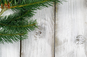 Fraiser fir branch on rustic white wooden boards