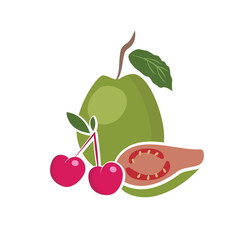 Illustration of fruits. Vector