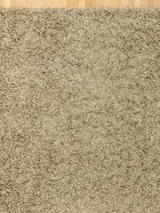 Shag Carpet