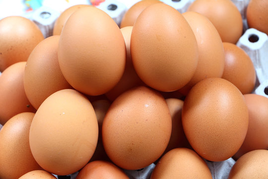Eggs from farm