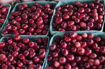 Cranberries
