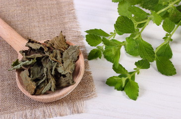 Fresh and dried lemon balm with spoon on white wooden table, herbalism