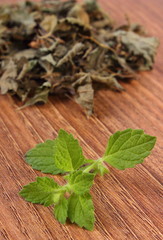 Fresh and heap of dried lemon balm on wooden table, herbalism