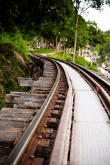 Fototapeta na wymiar Railway tracks through forest