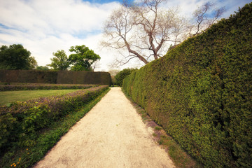 Summer park at sunny day