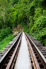 Obraz premium Railway tracks through forest