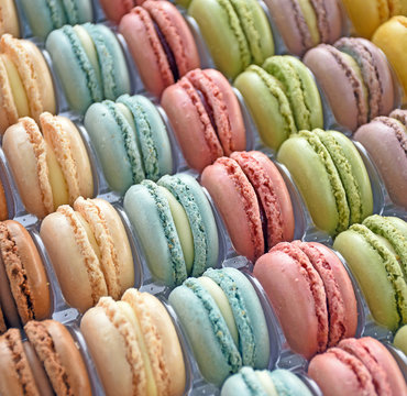 row of pastel French macarons